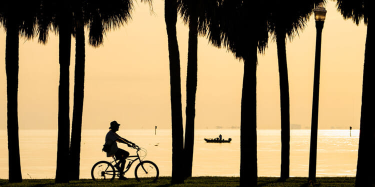 Is Florida Turning Blue?