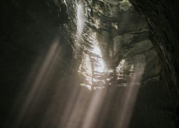 Let Divine Mercy Bring Good from Evil