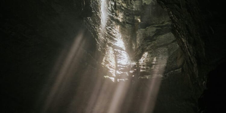 Let Divine Mercy Bring Good from Evil