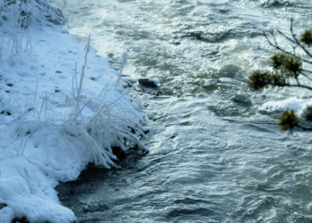 MN 5-Year-Old Who Saved Younger Brother Fights for His Life