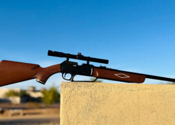 New York Democrat Lawmakers Target BB and Pellet Guns