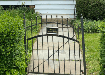 New York Grandmother, 75, Attacked for Asking Dog Walker to Pick Up After Her Pet