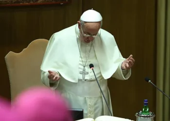 Pope Leo XIV in Africa – Catholic World Report