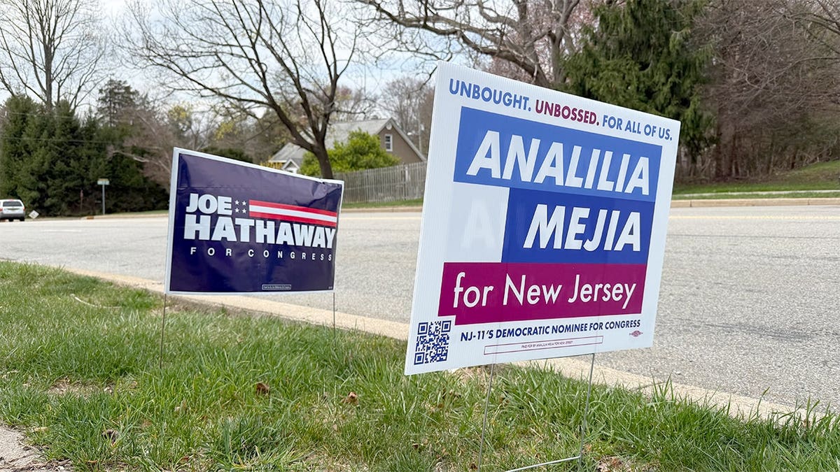 NJ-11 campaign signs for Hathaway and Mejia