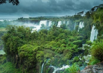 The Burden of Freedom: Penance and Mercy in The Mission