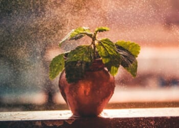 The Time of Mercy Is Now & We Have a Duty to Receive It