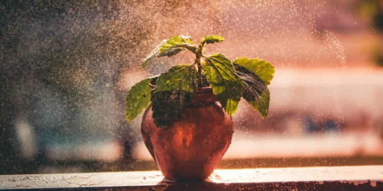 The Time of Mercy Is Now & We Have a Duty to Receive It