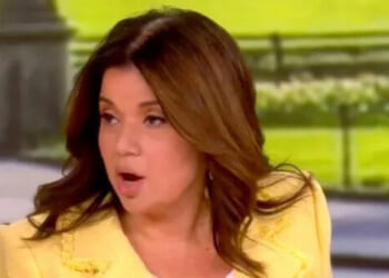 'The View’ Relish Trump and His Cabinet 'Felt the Fear' for Their Lives During WHCD, in Push for Gun Control