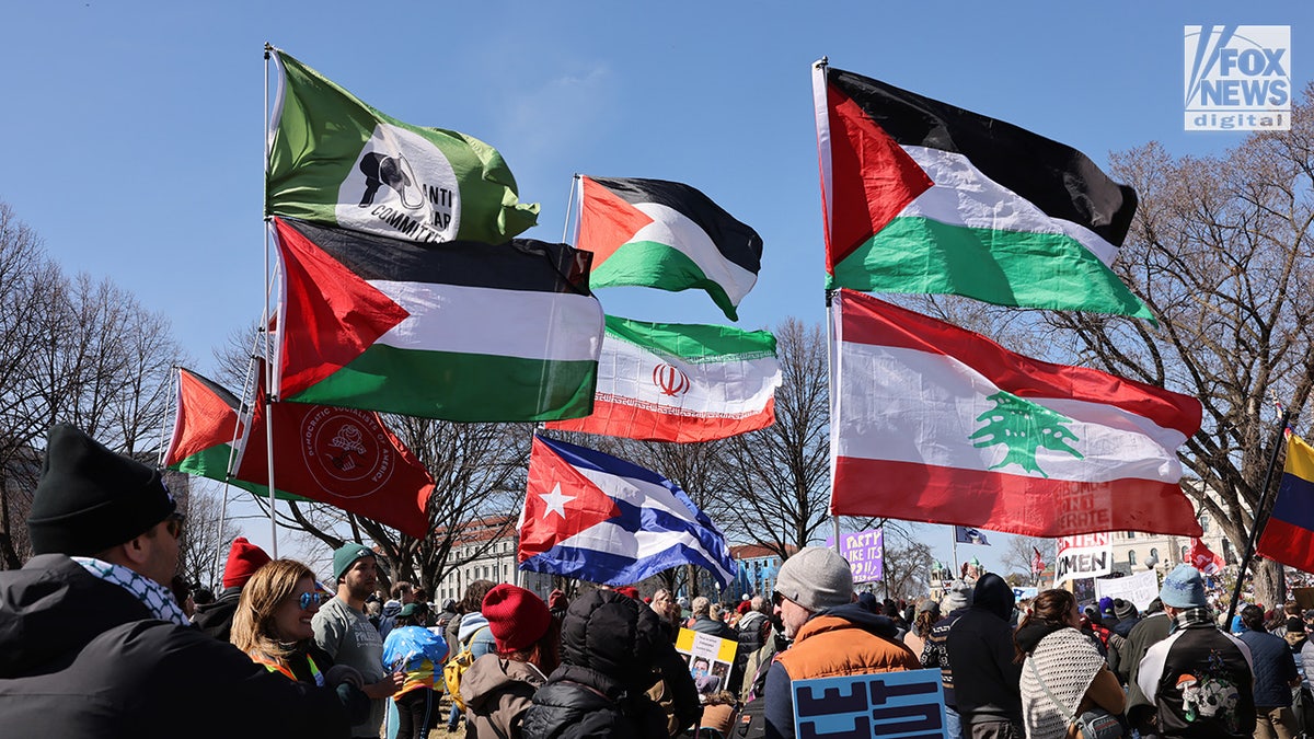 Protesters gathering with flags and signs in front of the Minnesota State Capitol building