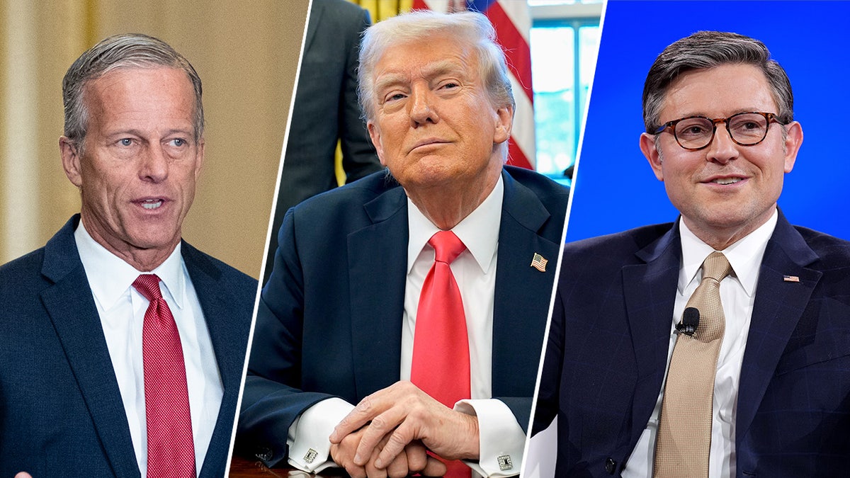 John Thune, Donald Trump, Mike Johnson