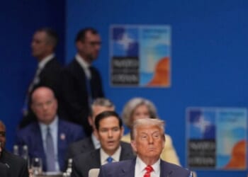 Top Republicans Question Point of 'Feckless' and 'Weak' NATO Allies