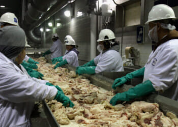 Trump's Migration Rules Force Wage Gains in Meatpacking