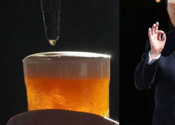 'This s**t shouldn't happen': Trump-hating brewer weeps after apparently doxxing federal agent