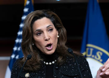 Republican Strategist Launches PAC to Defeat GOP Amnesty Advocates